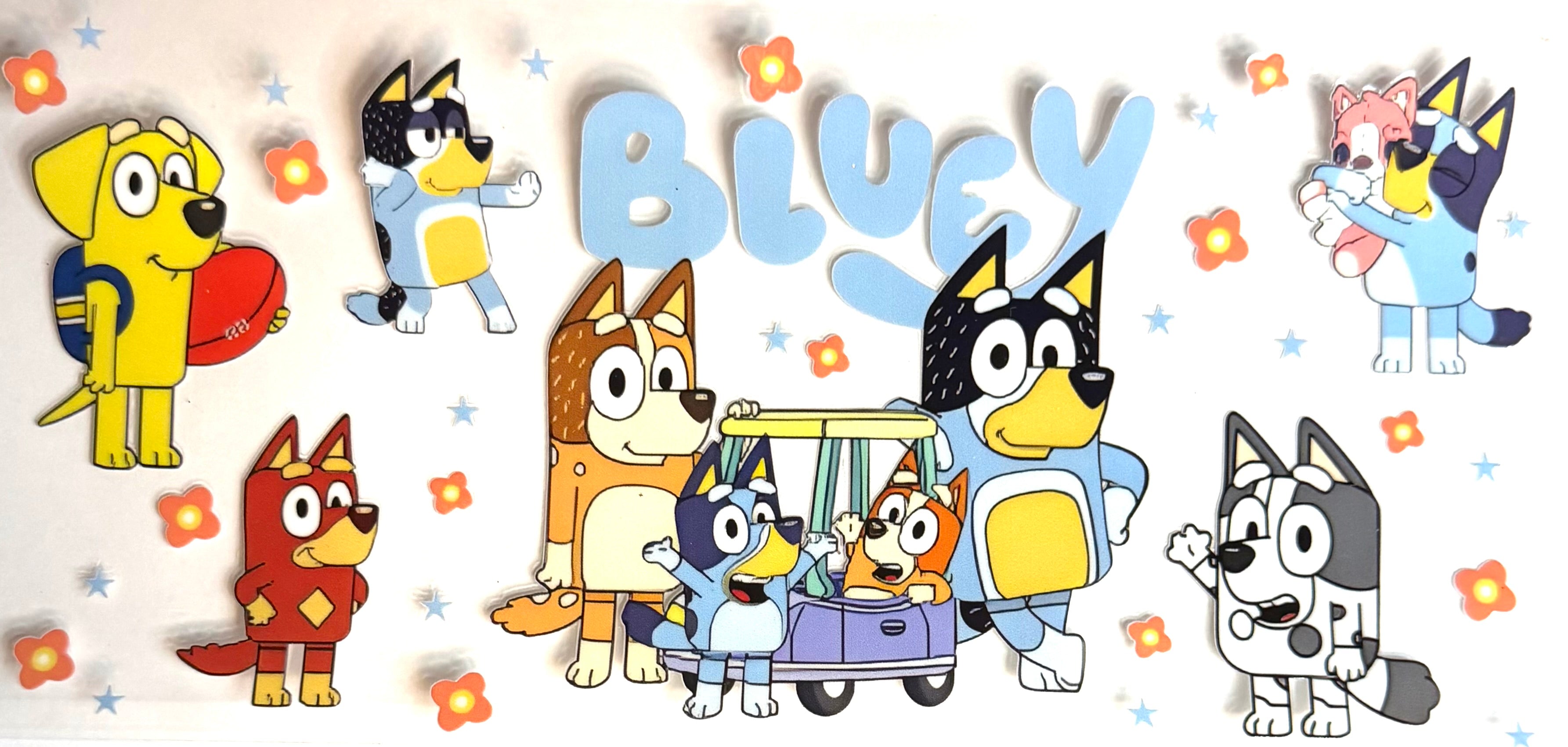 BlueyFam